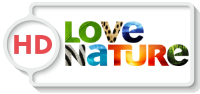 Love Nature HD